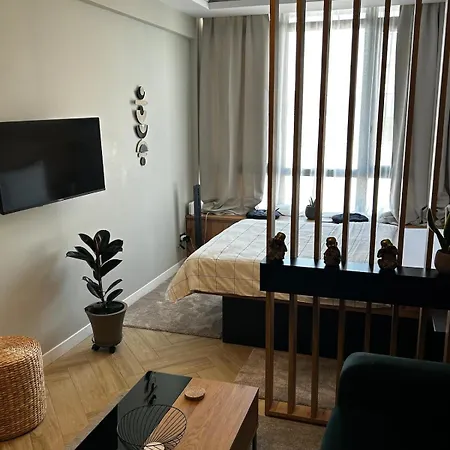 Apartment Chic And Cozy *